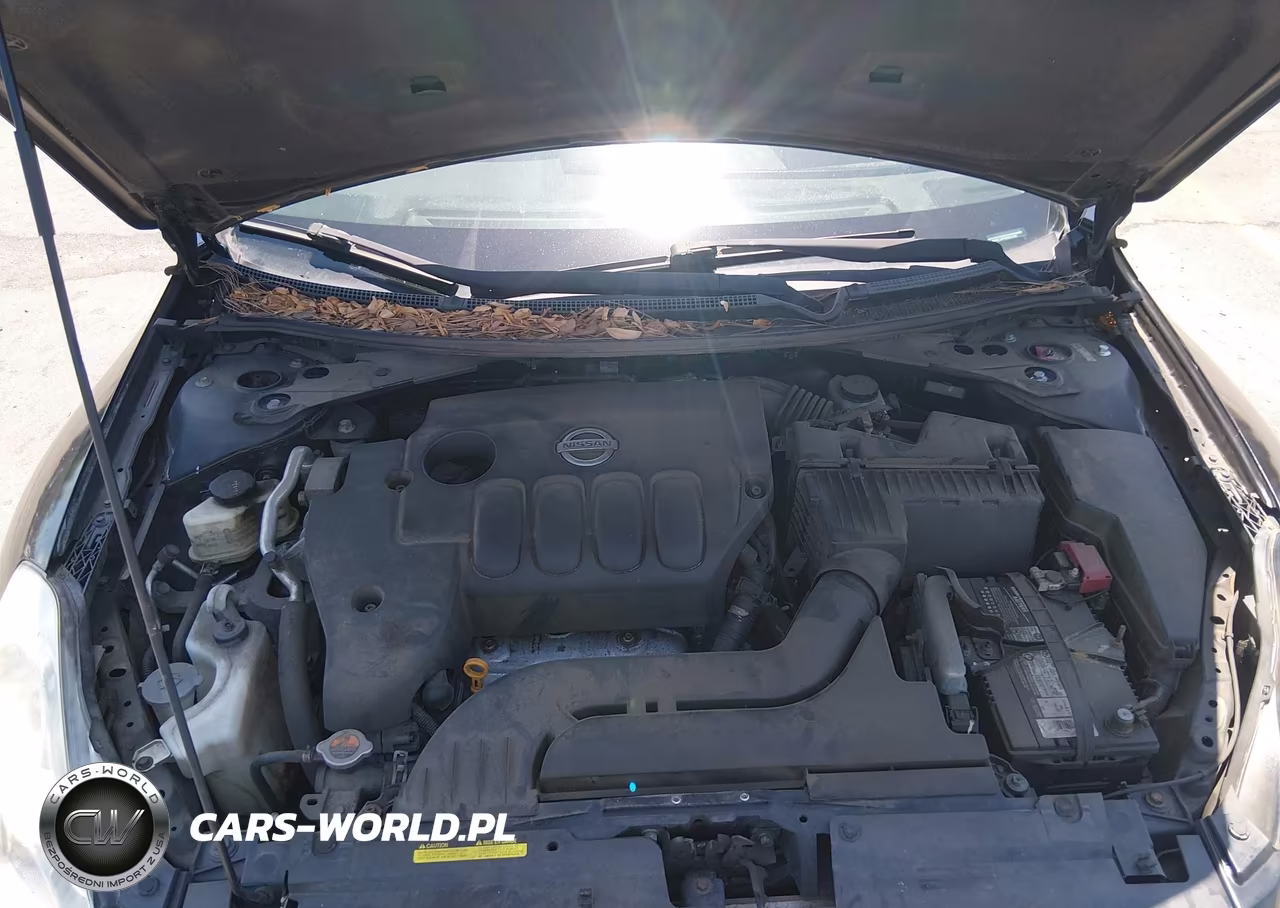 2010 Nissan Altima 2.5 S VIN:1N4AL2AP6AN543186 - 10
