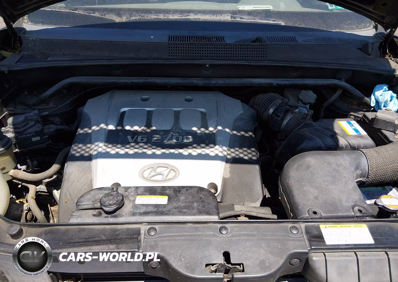 2006 Hyundai Tucson Gls-Limited VIN:KM8JN72D26U417227 - 10