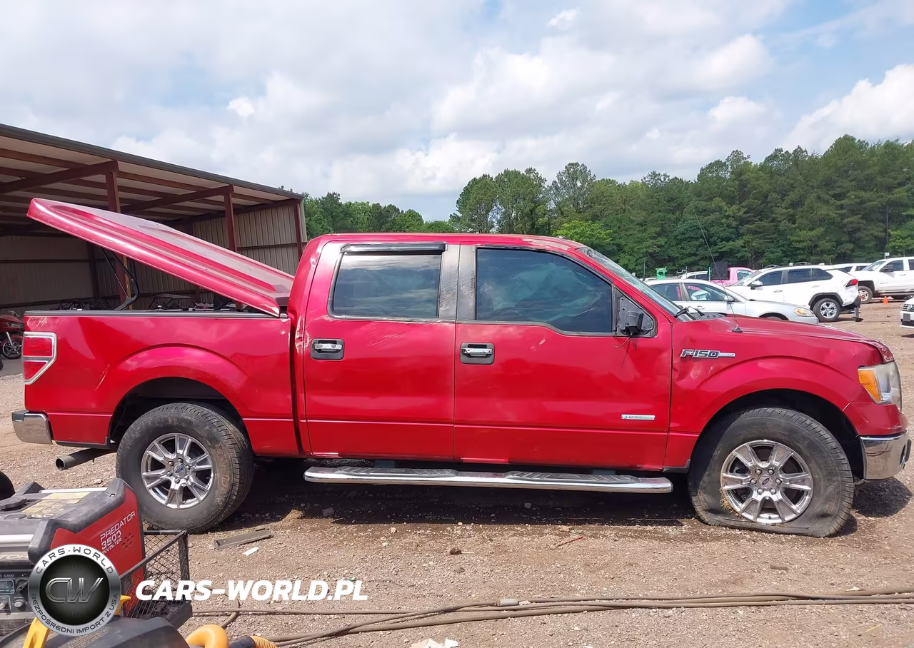 2011 Ford F-150 Xlt VIN:1FTFW1CT9BFC43374 - 13