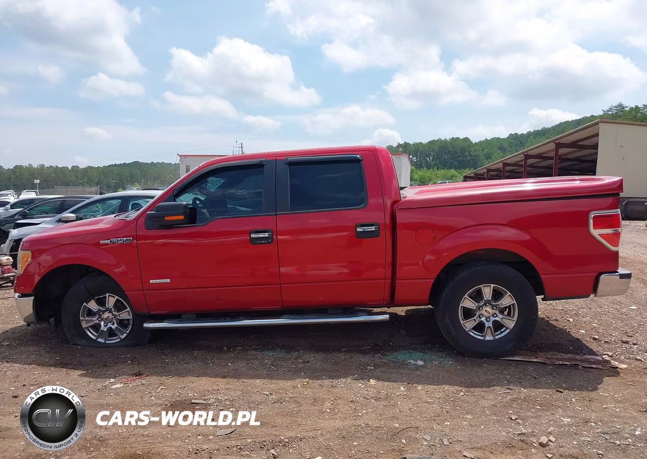 2011 Ford F-150 Xlt VIN:1FTFW1CT9BFC43374 - 14