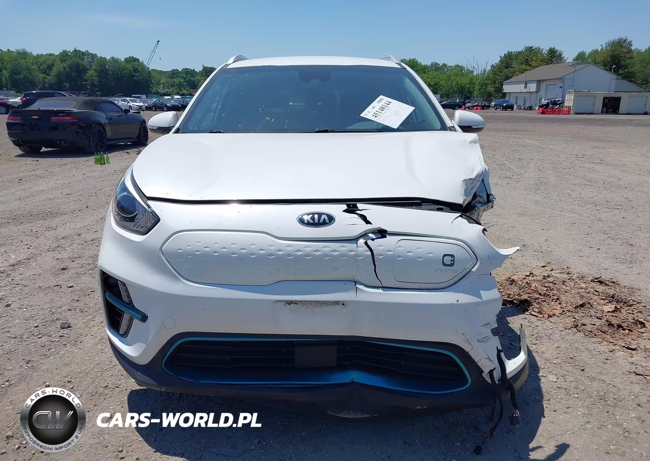 2021 Kia Niro Ev Ex VIN:KNDCC3LG1M5102639 - 12