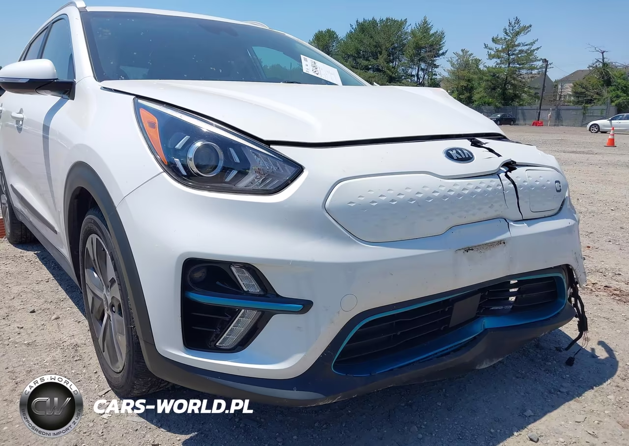 2021 Kia Niro Ev Ex VIN:KNDCC3LG1M5102639 - 6