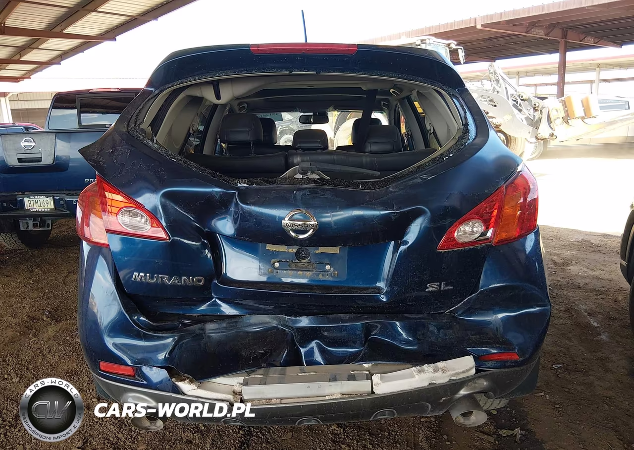 2009 Nissan Murano Sl VIN:JN8AZ18U49W015316 - 6