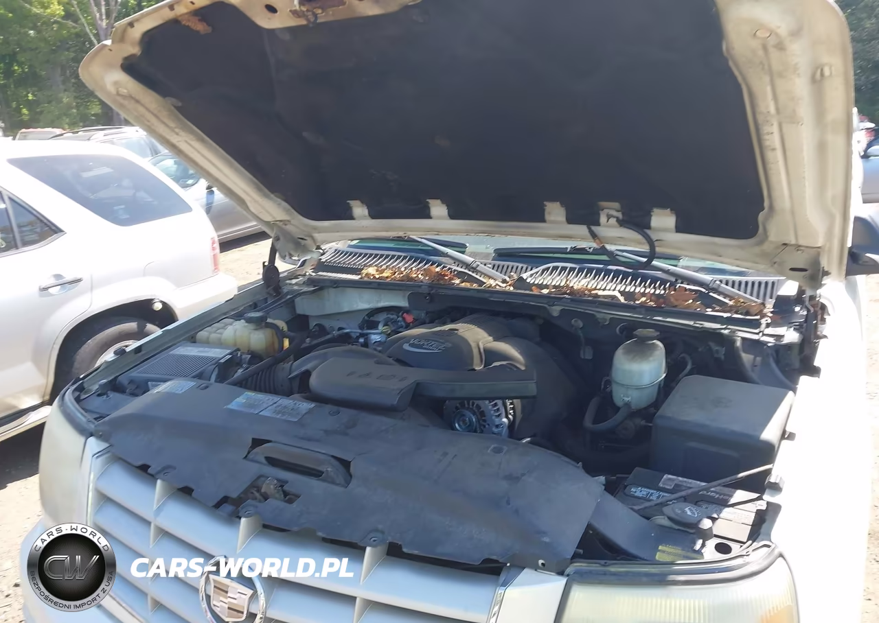 2003 Cadillac Escalade Standard VIN:1GYEK63N13R258449 - 10