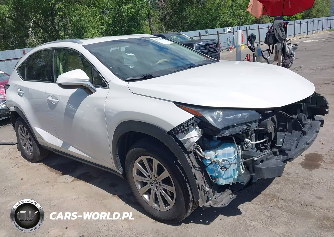 2019 Lexus Nx 300H – zdjęcie 1 z 20