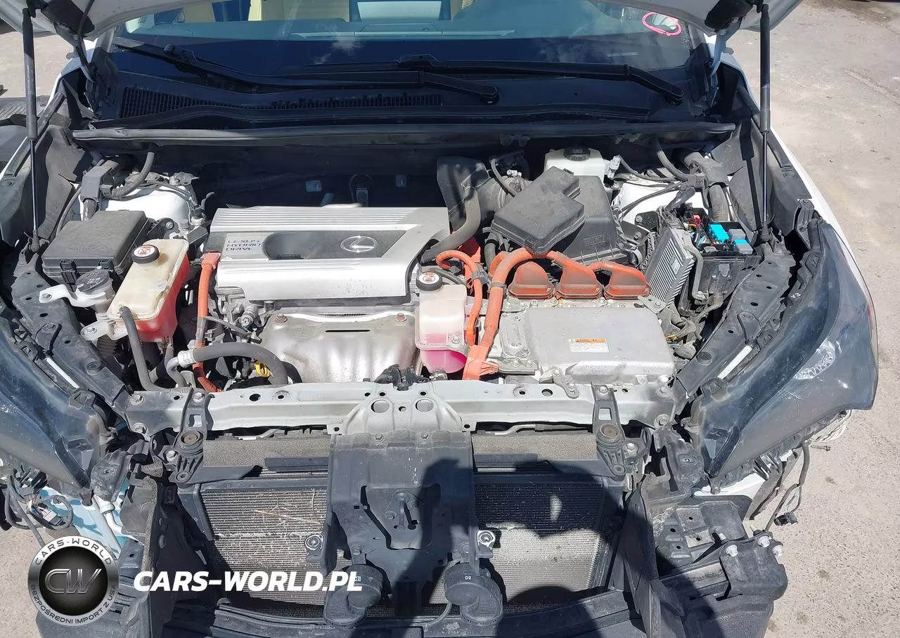 2019 Lexus Nx 300H VIN:JTJBJRBZ1K2108878 - 10
