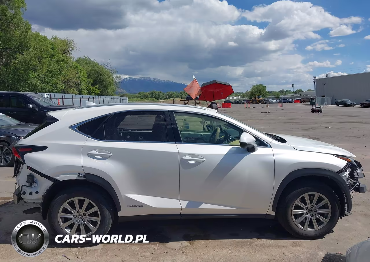 2019 Lexus Nx 300H VIN:JTJBJRBZ1K2108878 - 13