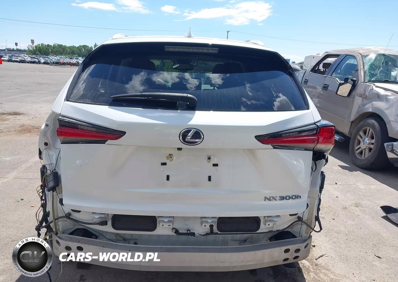 2019 Lexus Nx 300H VIN:JTJBJRBZ1K2108878 - 16