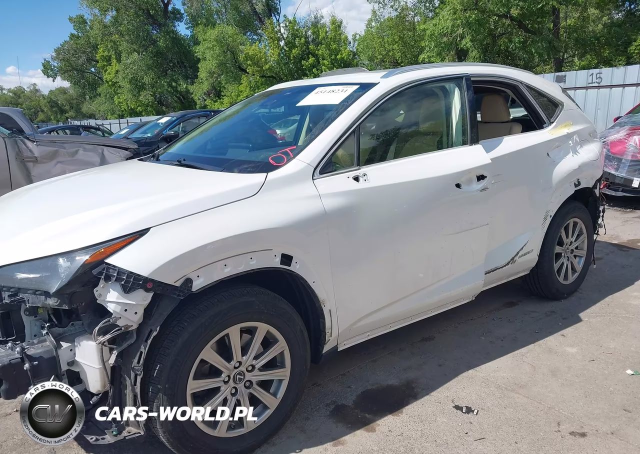 2019 Lexus Nx 300H VIN:JTJBJRBZ1K2108878 - 17