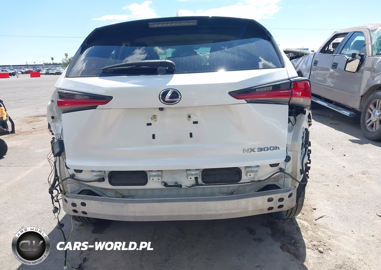 2019 Lexus Nx 300H VIN:JTJBJRBZ1K2108878 - 19