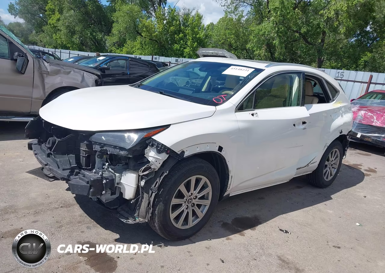 2019 Lexus Nx 300H VIN:JTJBJRBZ1K2108878 - 2