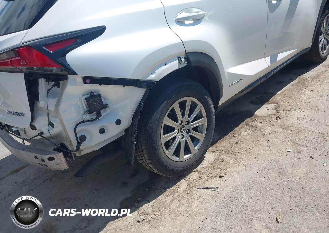 2019 Lexus Nx 300H VIN:JTJBJRBZ1K2108878 - 20