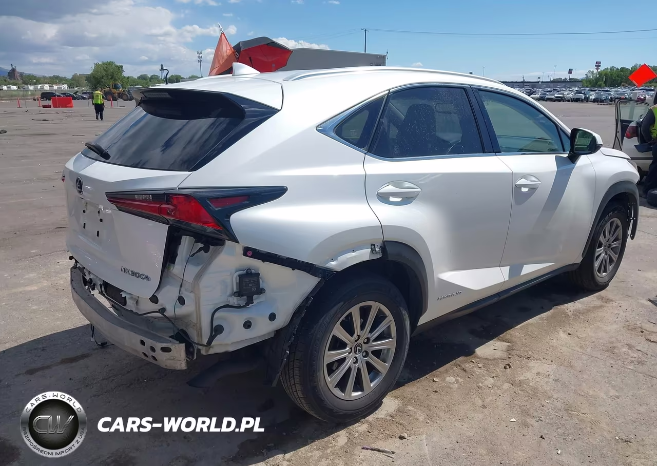 2019 Lexus Nx 300H VIN:JTJBJRBZ1K2108878 - 4