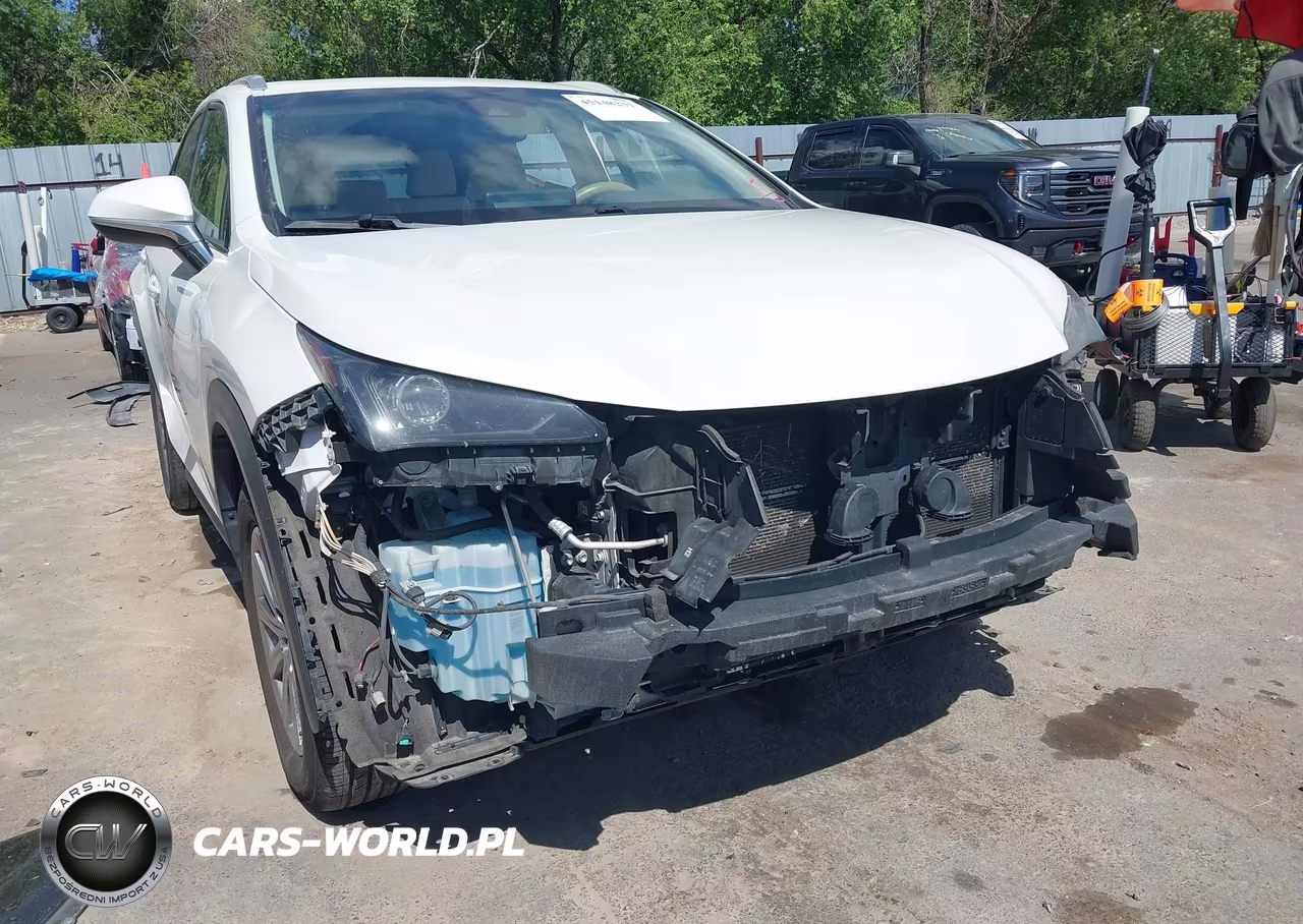 2019 Lexus Nx 300H VIN:JTJBJRBZ1K2108878 - 6