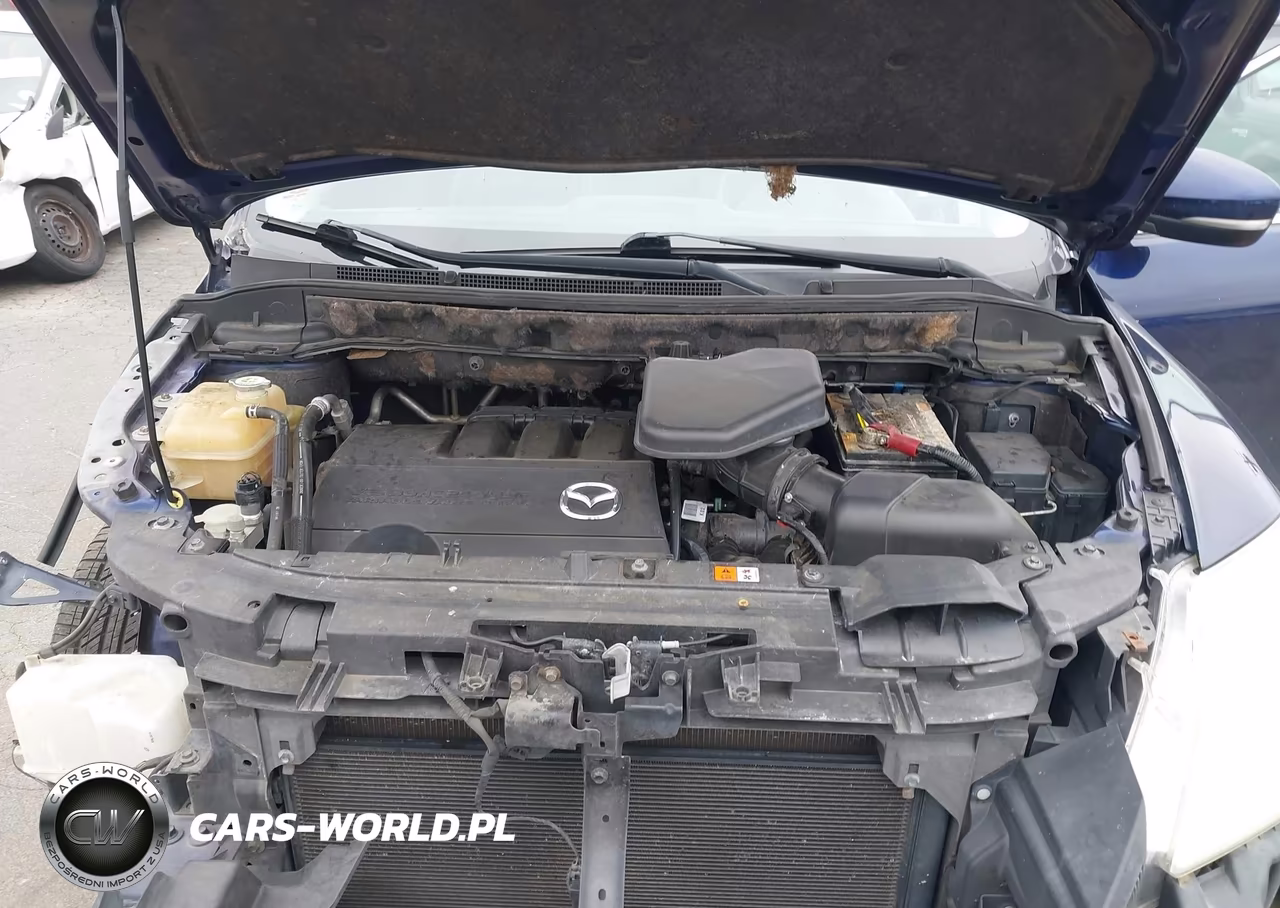 2010 Mazda Cx-9 Grand Touring VIN:JM3TB3MV6A0204096 - 10
