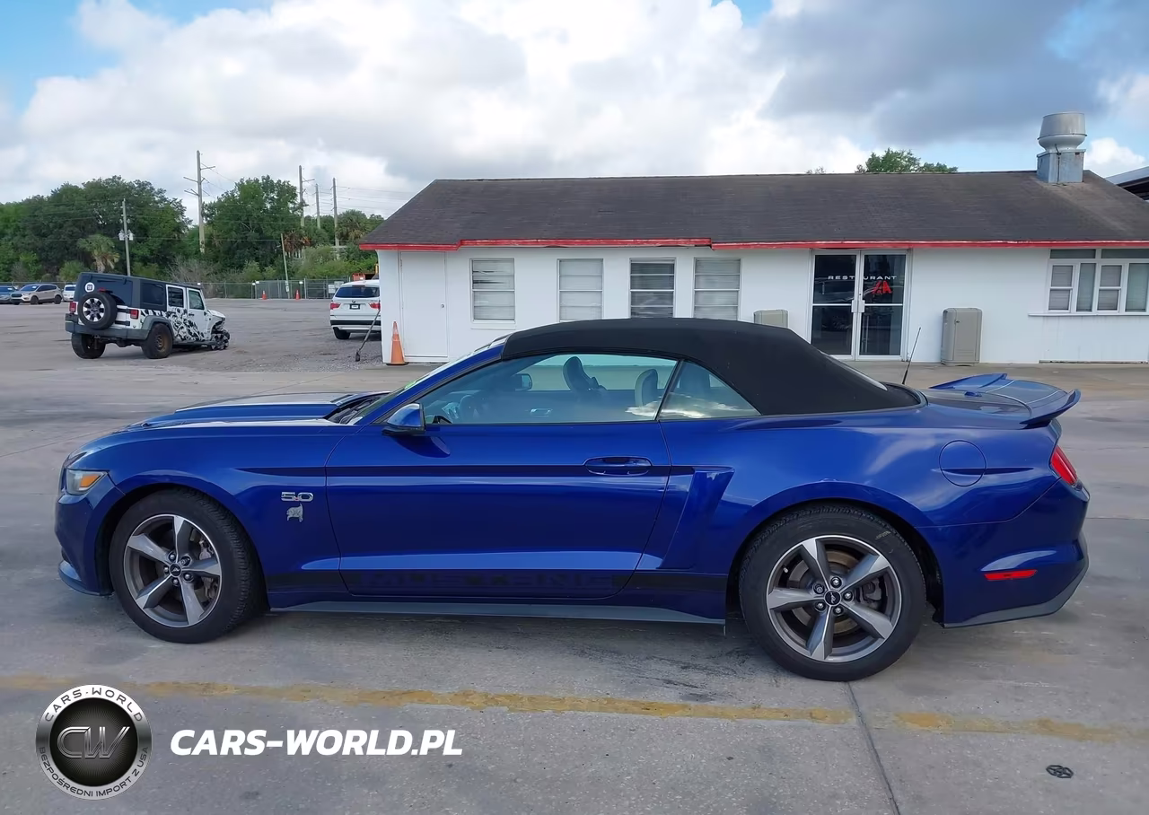 2015 Ford Mustang Gt Premium VIN:1FATP8FF0F5324506 - 15