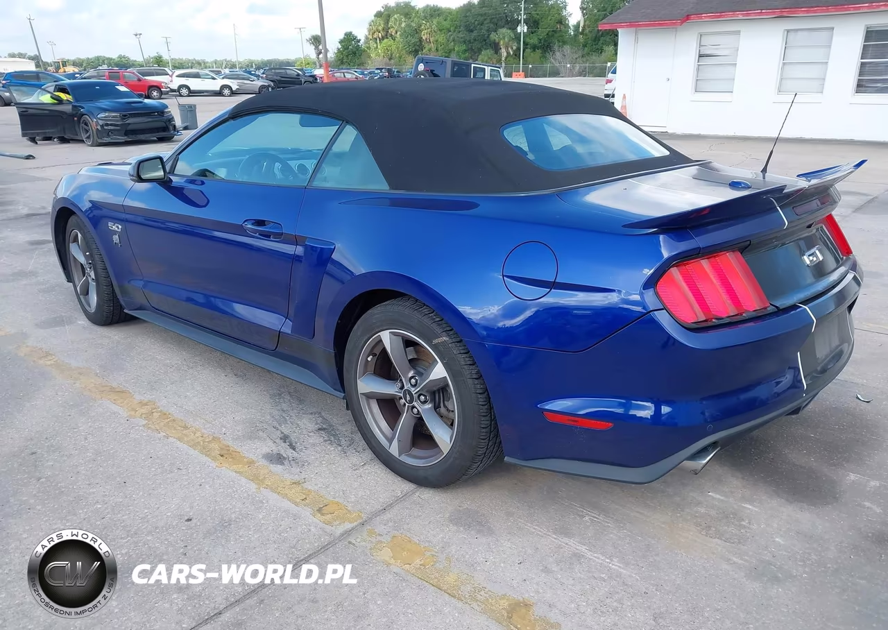 2015 Ford Mustang Gt Premium VIN:1FATP8FF0F5324506 - 3
