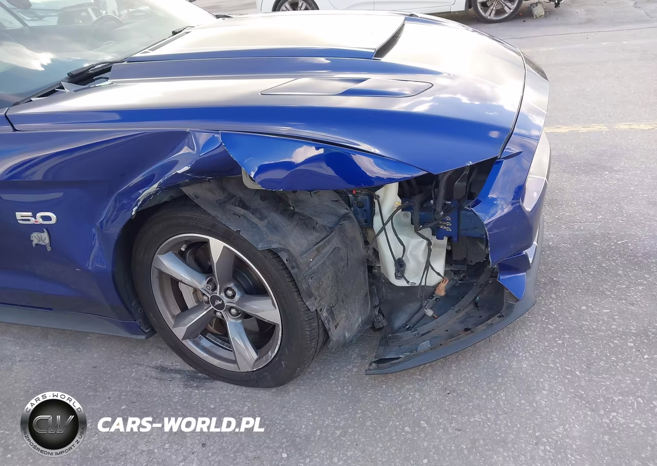 2015 Ford Mustang Gt Premium VIN:1FATP8FF0F5324506 - 6