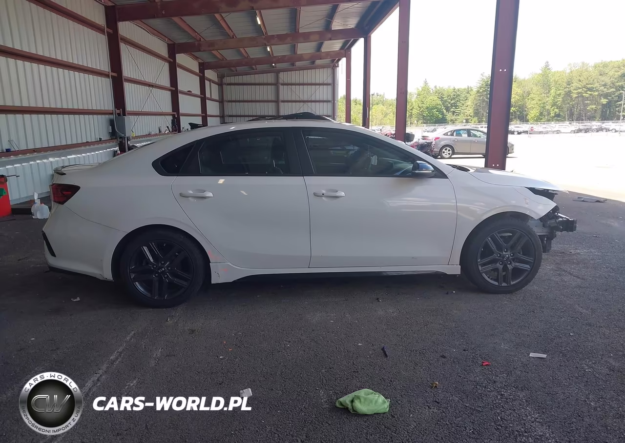 2020 Kia Forte Gt-Line VIN:3KPF34AD1LE223850 - 13