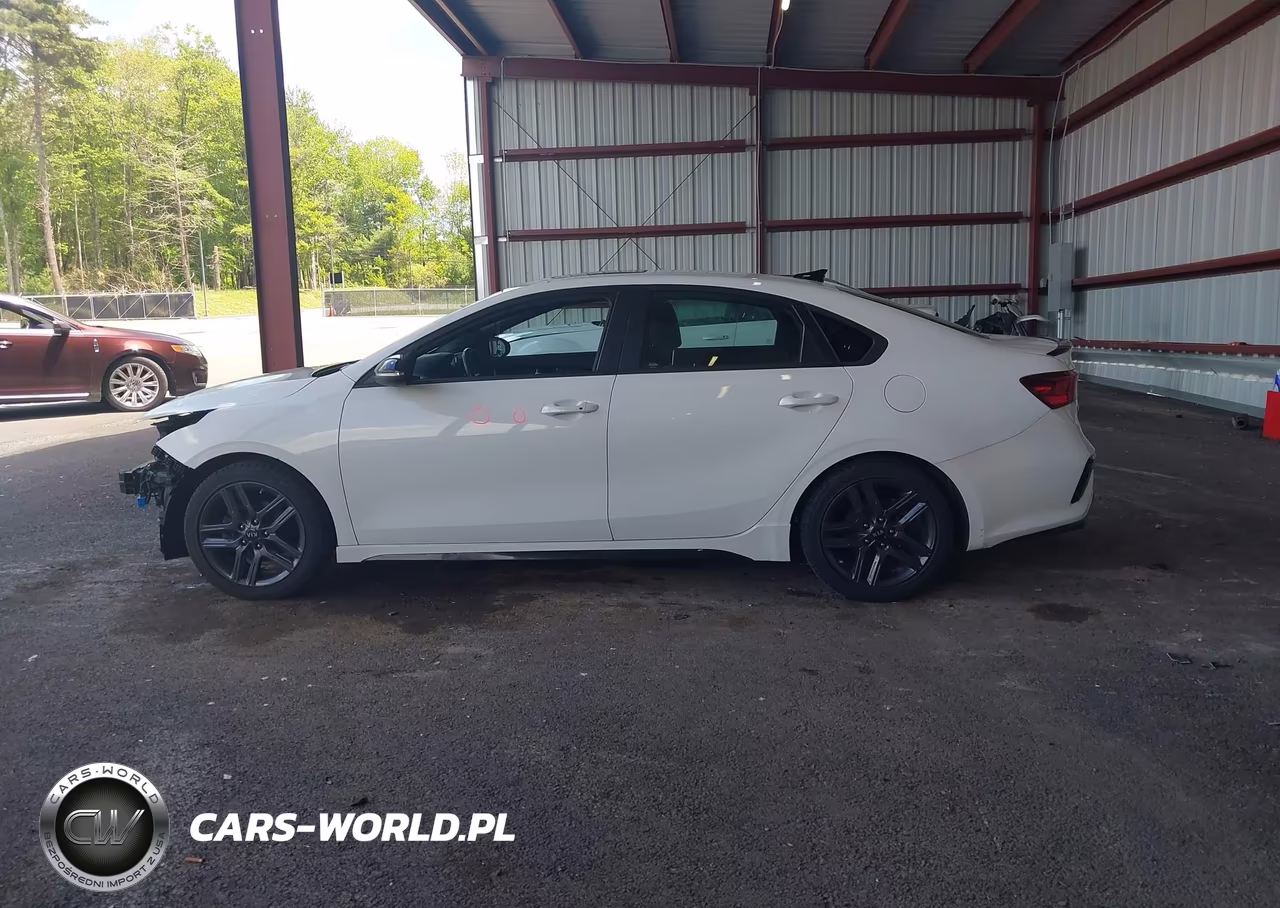 2020 Kia Forte Gt-Line VIN:3KPF34AD1LE223850 - 14