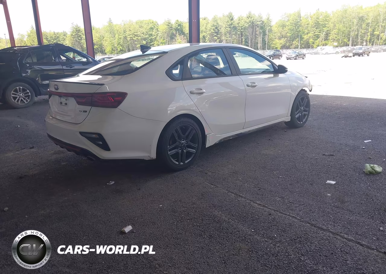 2020 Kia Forte Gt-Line VIN:3KPF34AD1LE223850 - 4