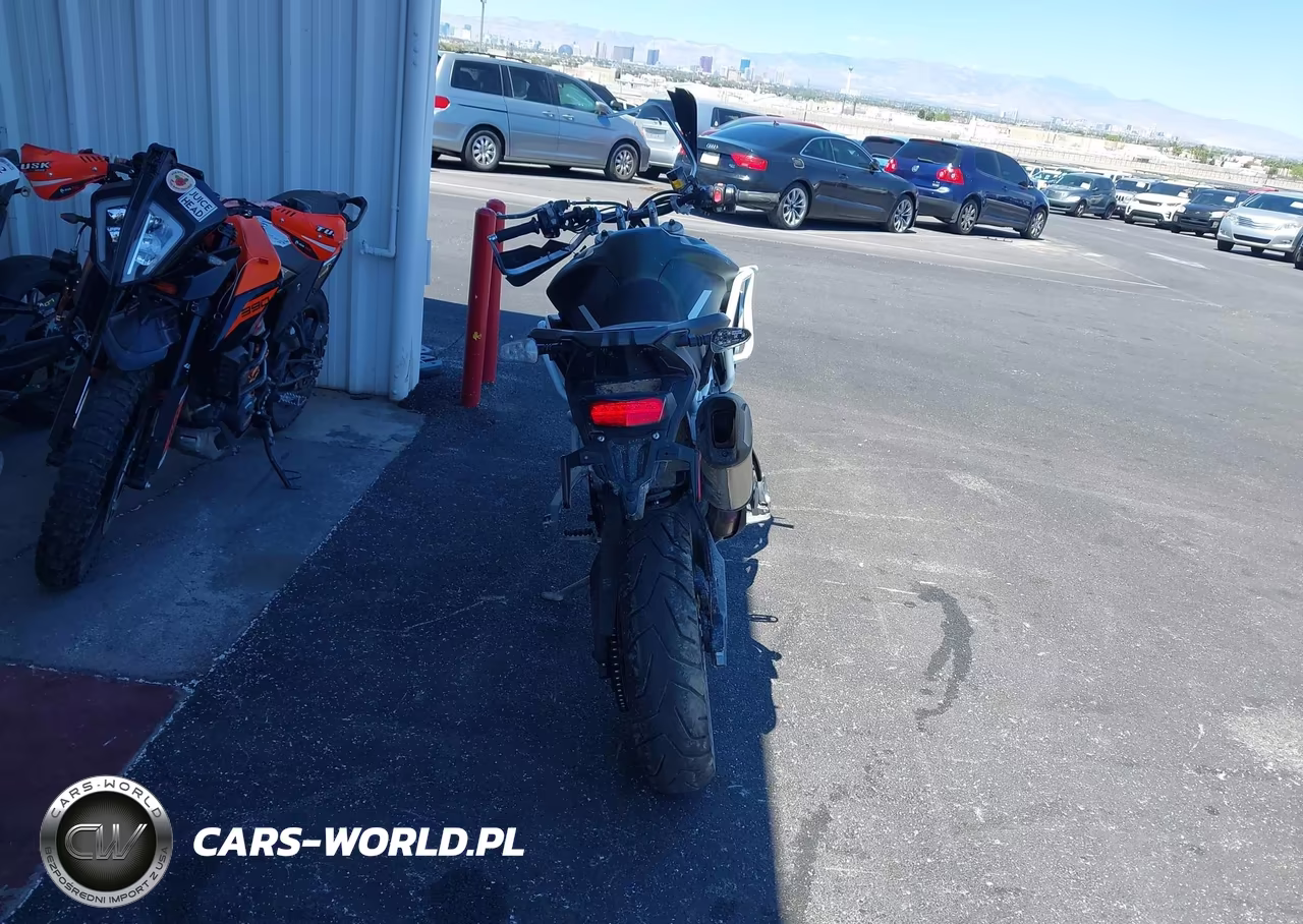 2023 Triumph Motorcycle Tiger 900 Rally VIN:SMTE63DFXPTBE1980 - 6