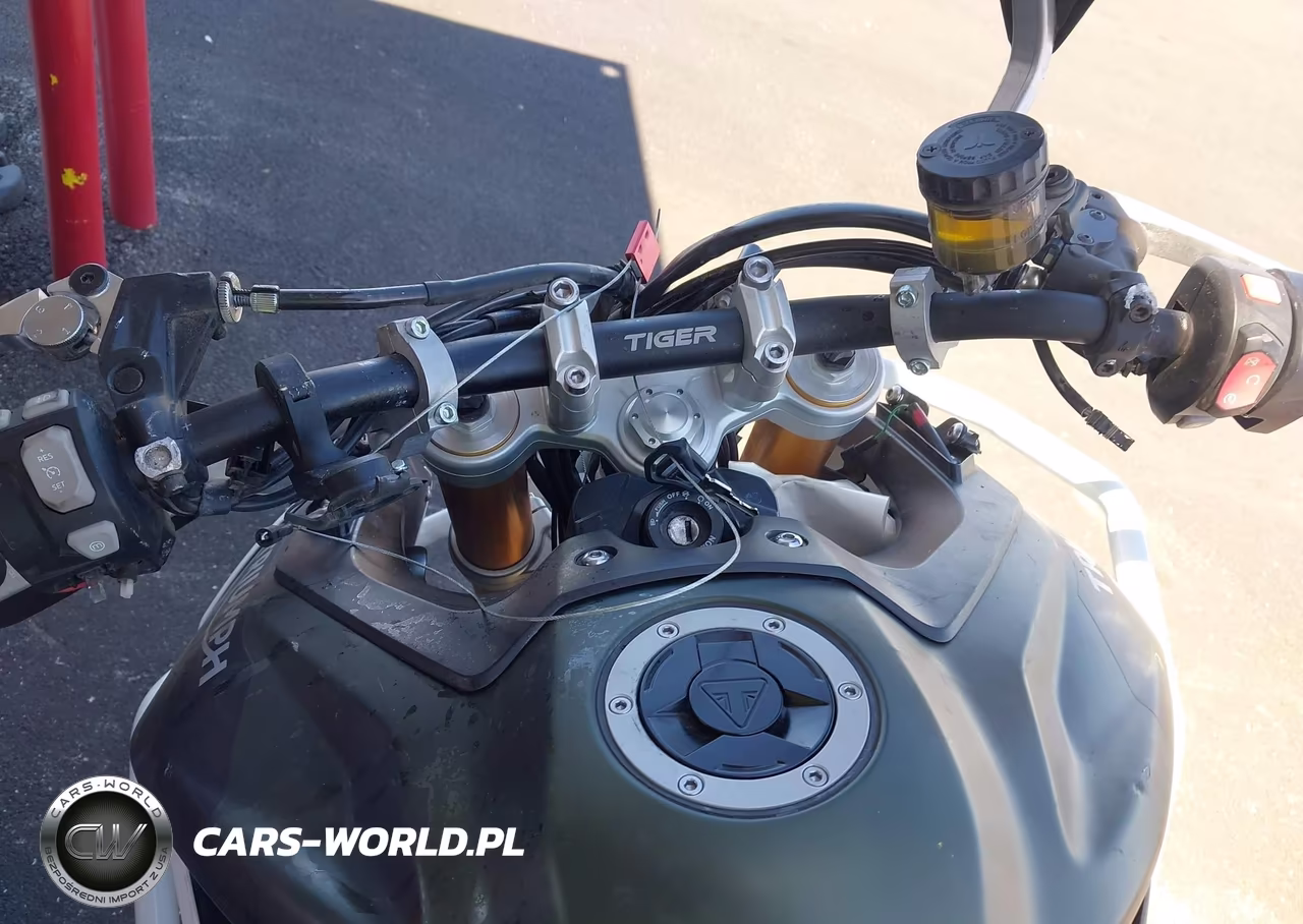2023 Triumph Motorcycle Tiger 900 Rally VIN:SMTE63DFXPTBE1980 - 7