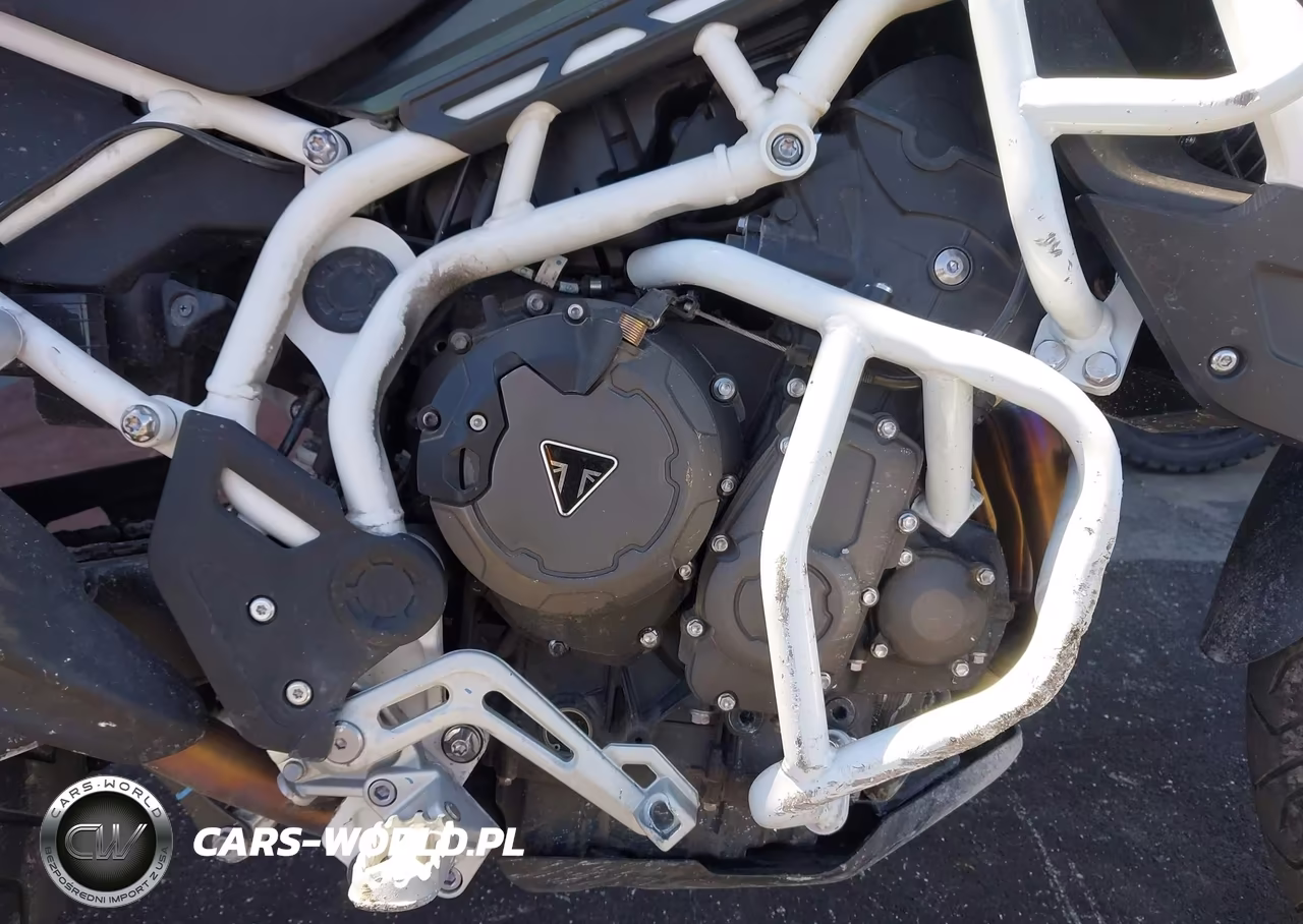 2023 Triumph Motorcycle Tiger 900 Rally VIN:SMTE63DFXPTBE1980 - 8