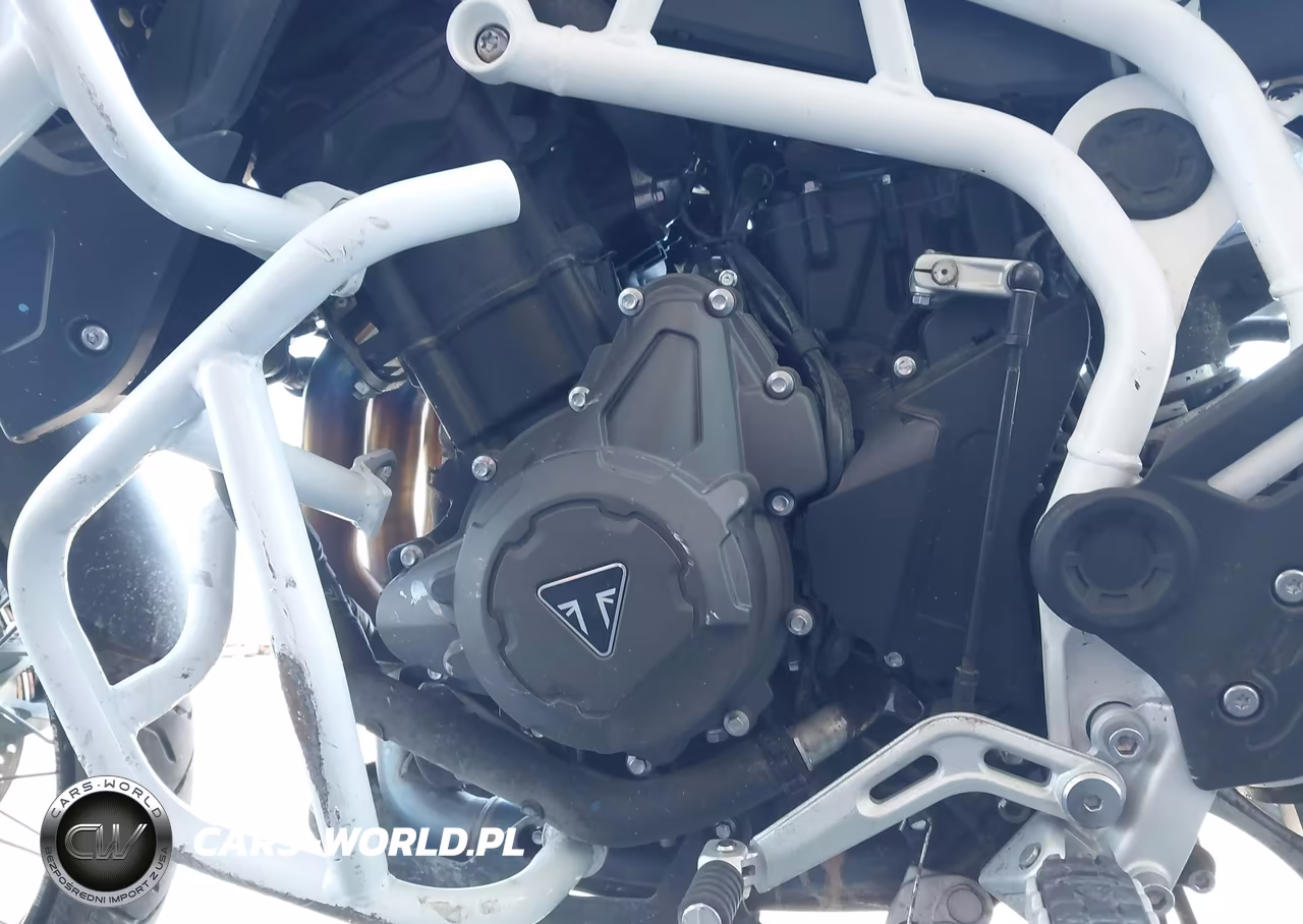 2023 Triumph Motorcycle Tiger 900 Rally VIN:SMTE63DFXPTBE1980 - 9