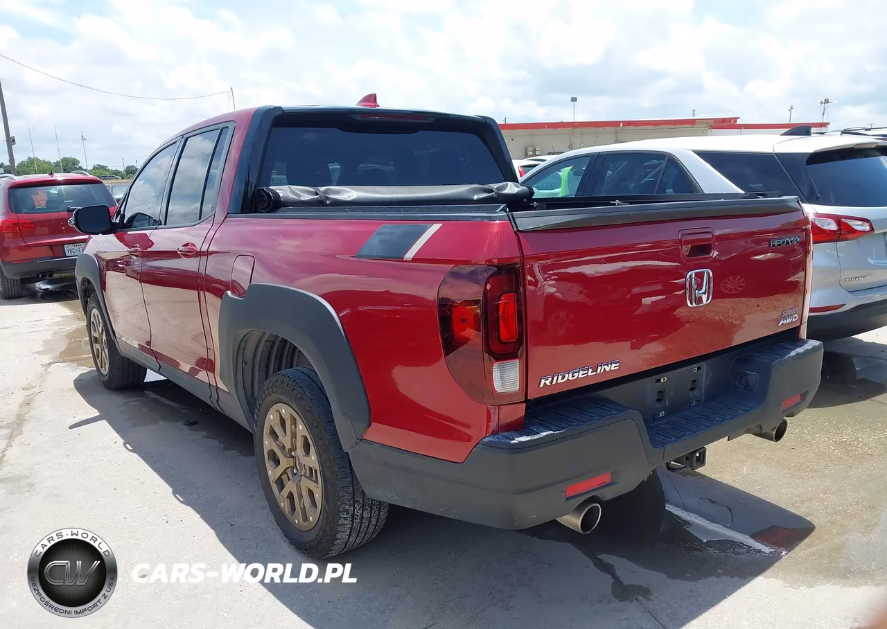 HONDA RIDGELINE VIN:5FPYK3F16MB011226 - 3