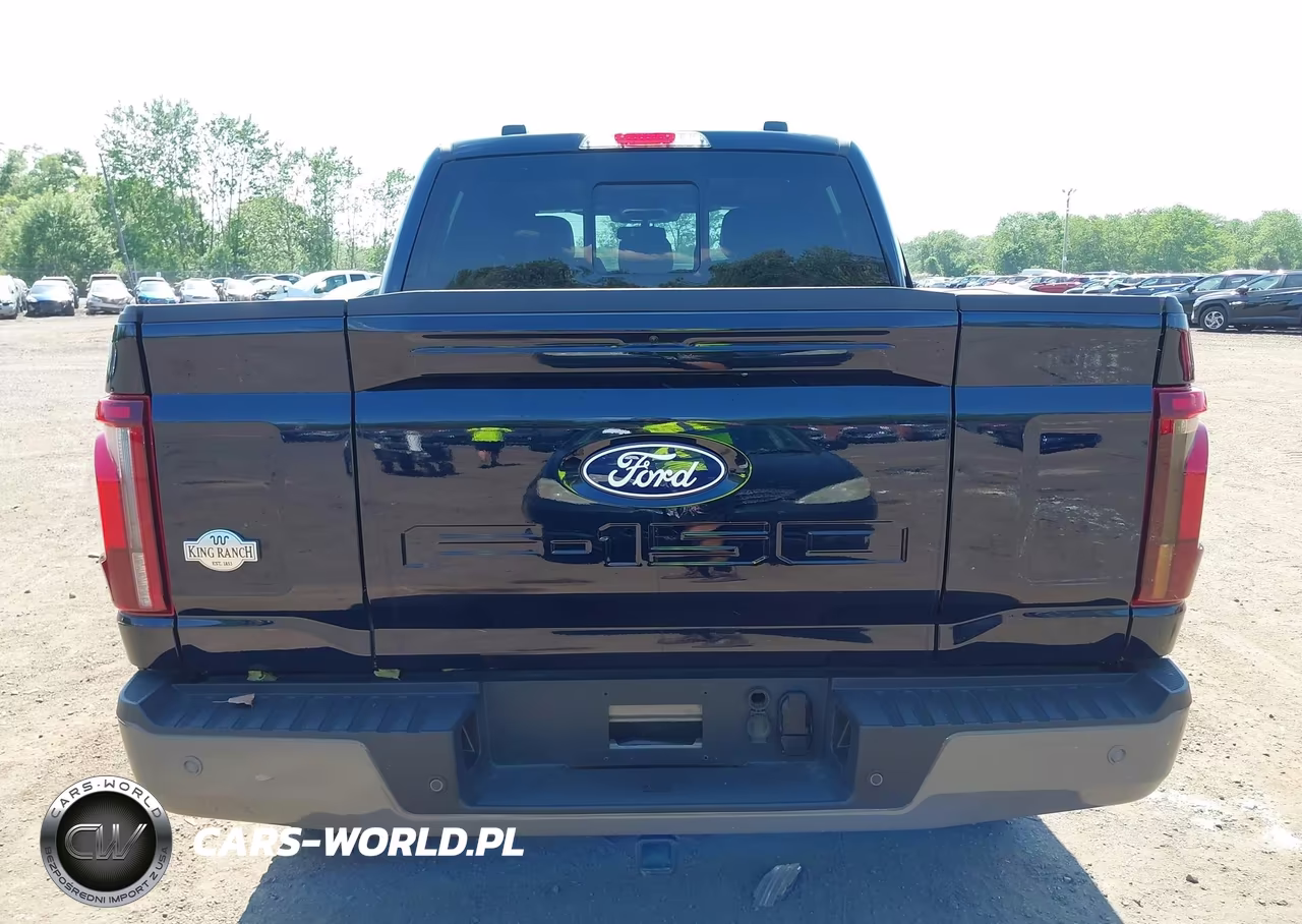 2025 Ford F150 King Ranch VIN:1FTFW6LD2SFA06988 - 17