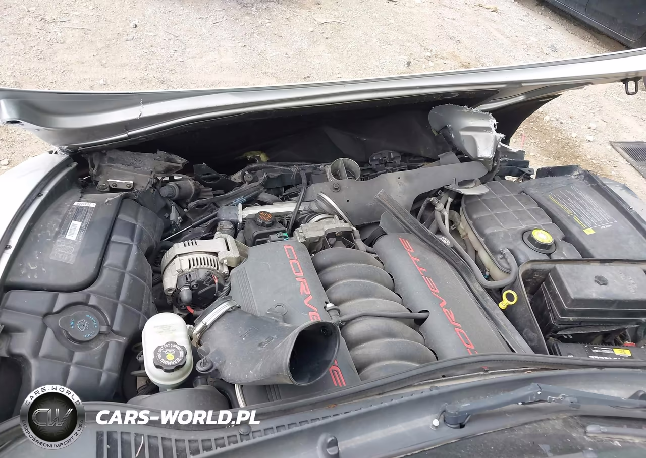 1999 Chevrolet Corvette VIN:1G1YY22G7X5131045 - 10