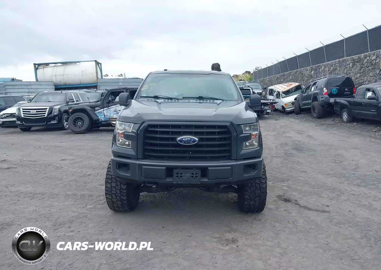 2017 Ford F-150 Xl VIN:1FTEW1EP4HKD95137 - 12