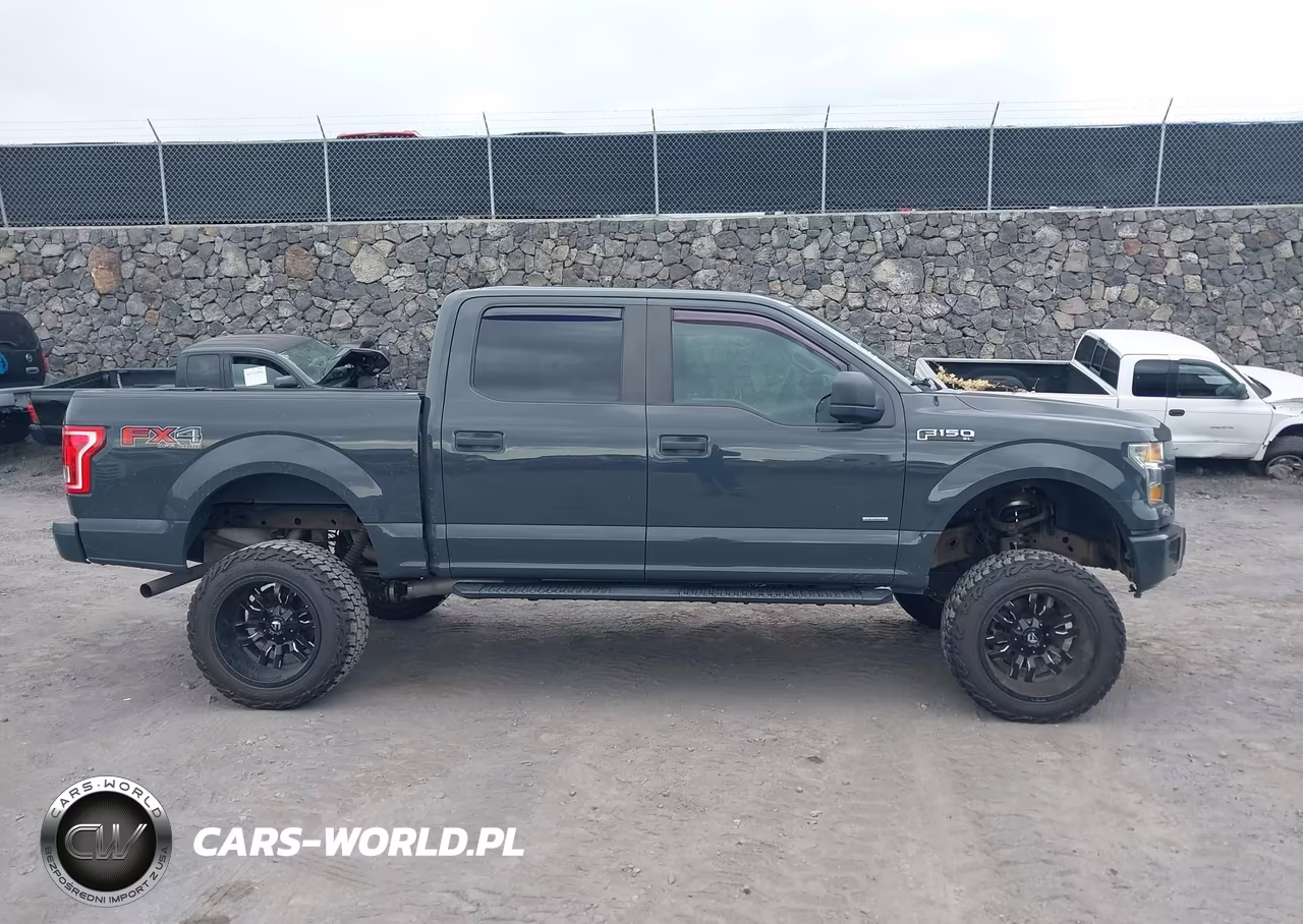 2017 Ford F-150 Xl VIN:1FTEW1EP4HKD95137 - 13