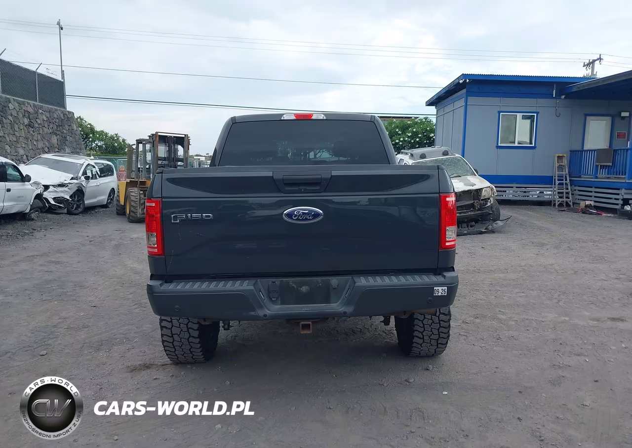 2017 Ford F-150 Xl VIN:1FTEW1EP4HKD95137 - 16