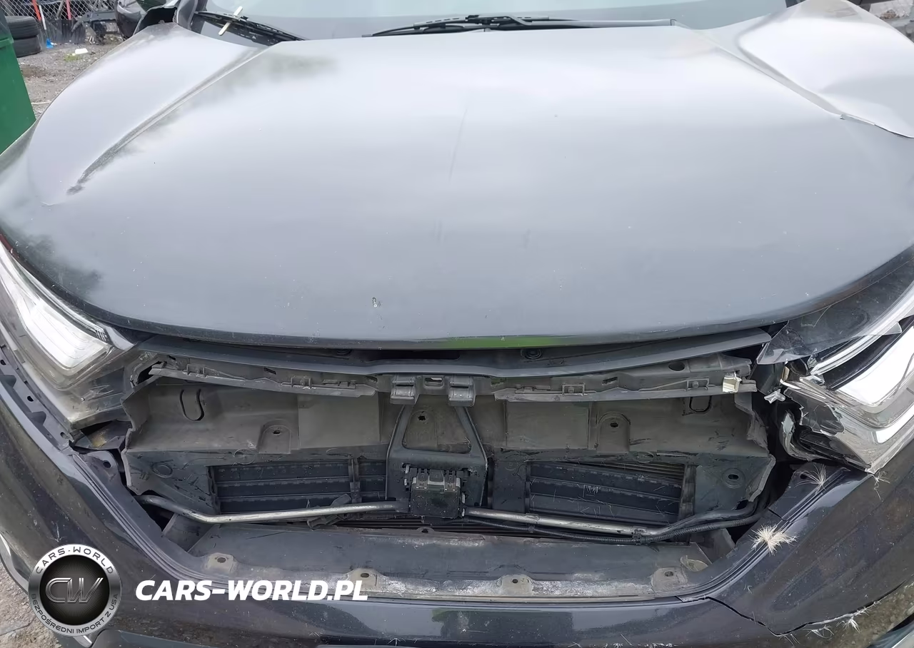 2019 Honda Cr-V Touring VIN:2HKRW2H94KH624572 - 10