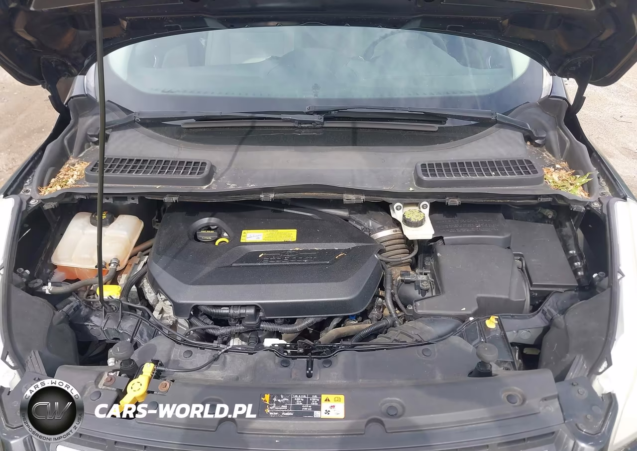 2013 Ford Escape Se VIN:1FMCU9GX2DUC87991 - 10