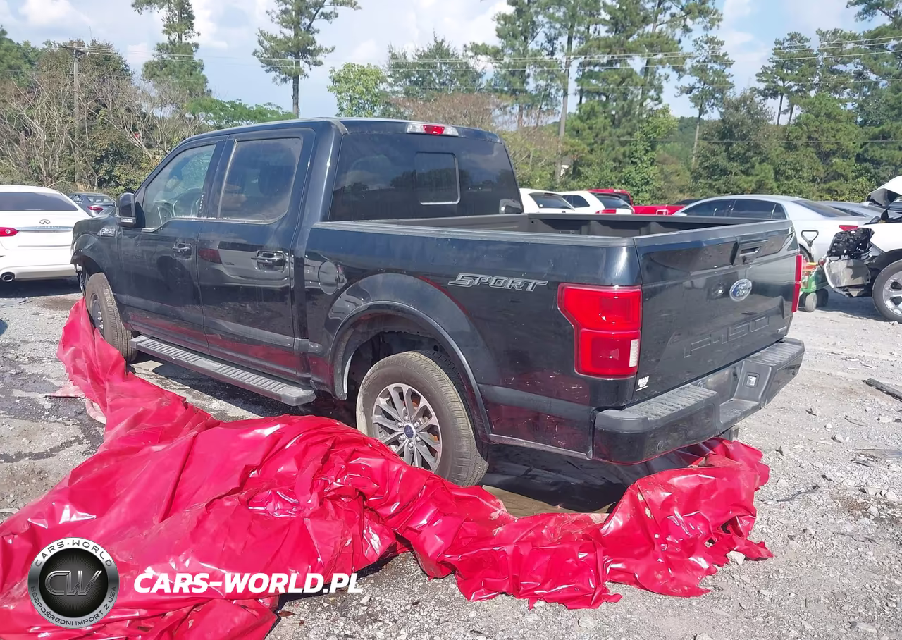 2019 Ford F-150 Lariat VIN:1FTEW1C48KFB29225 - 3