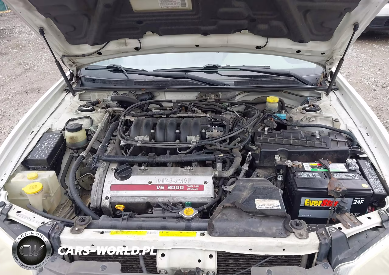 2001 Nissan Maxima Se VIN:JN1CA31D11T828817 - 10