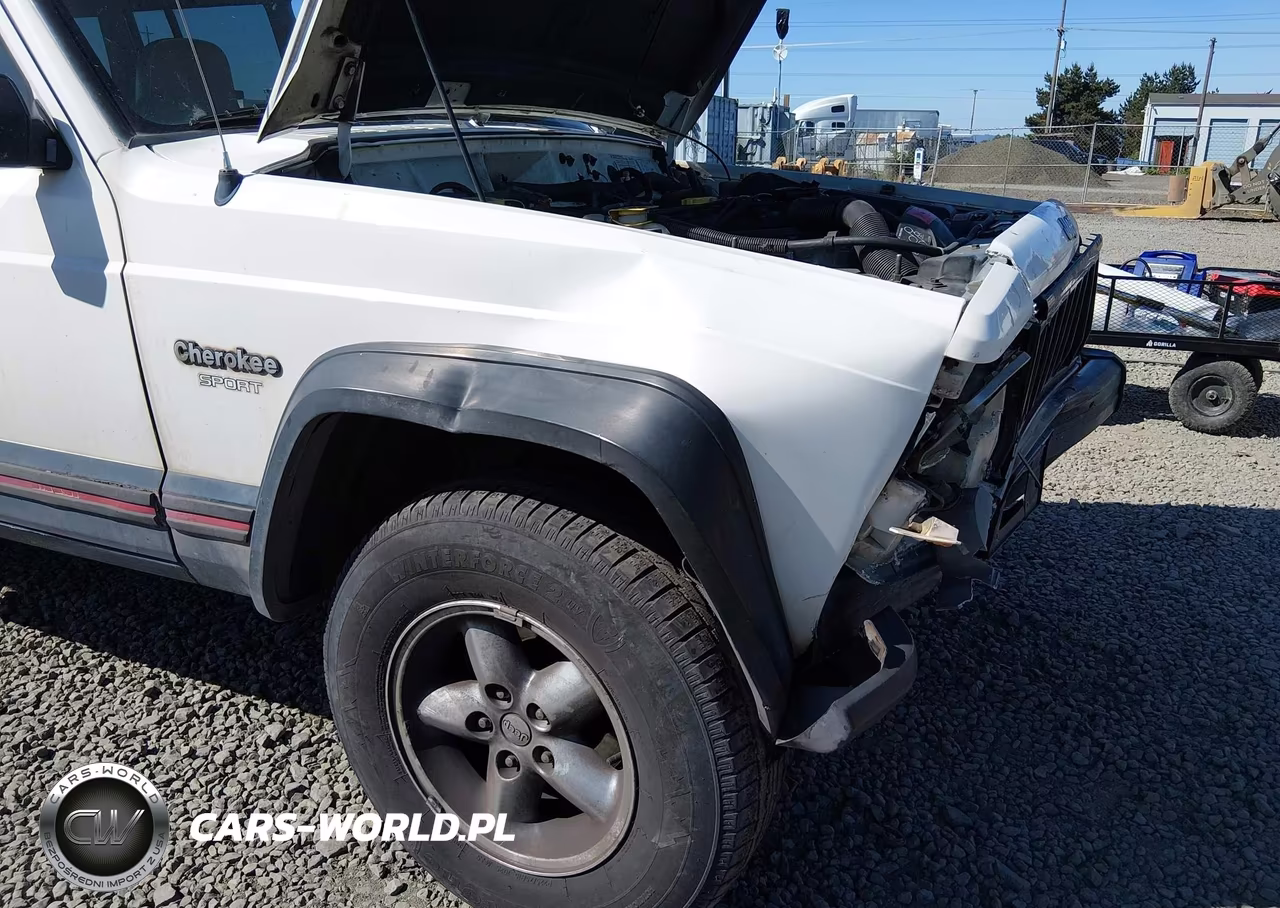 1996 Jeep Cherokee Sport-Classic VIN:1J4FJ68S1TL277978 - 17