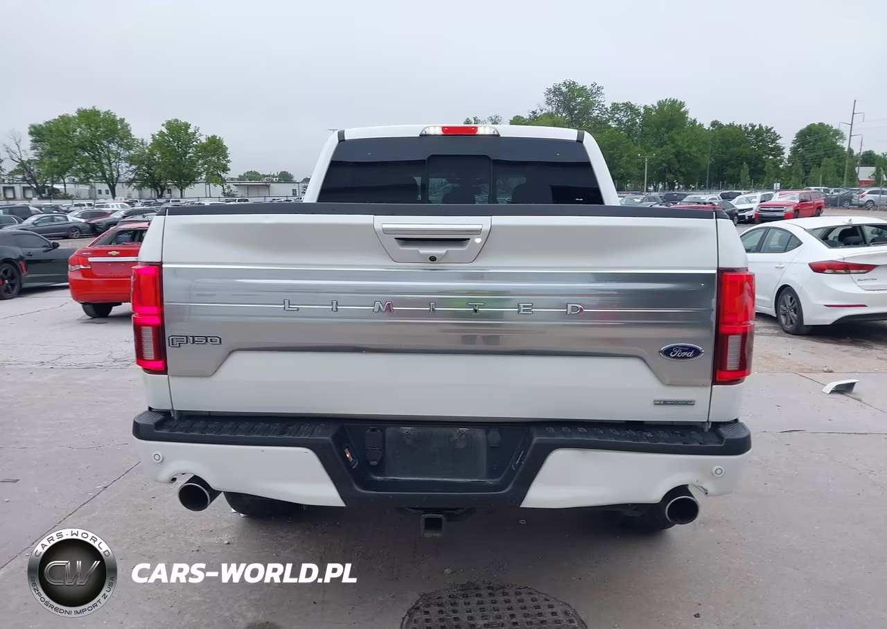 2020 Ford F-150 Limited VIN:1FTEW1EG2LFB19928 - 17