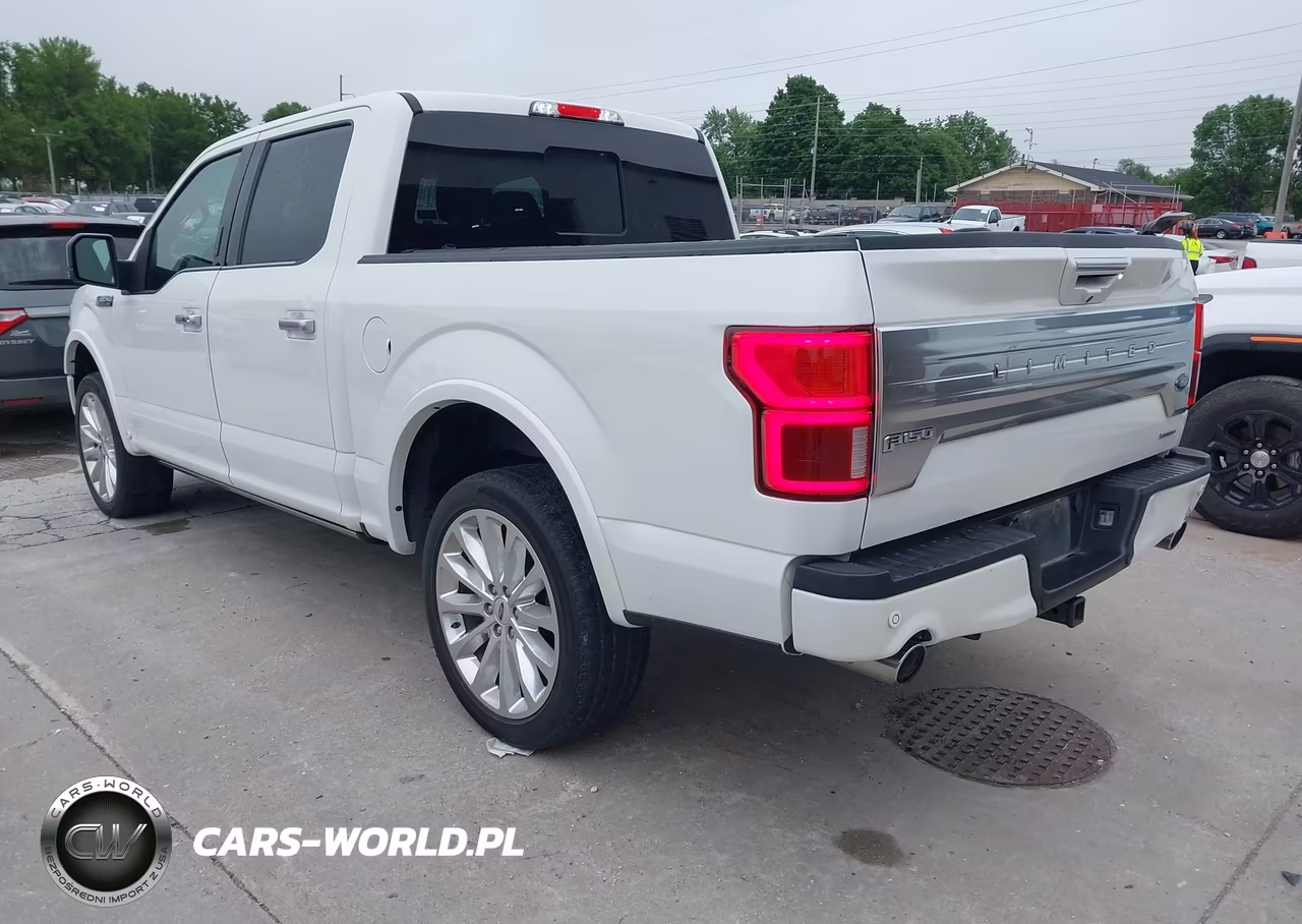 2020 Ford F-150 Limited VIN:1FTEW1EG2LFB19928 - 3