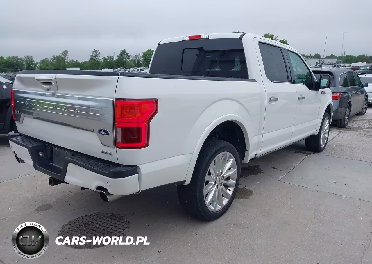 2020 Ford F-150 Limited VIN:1FTEW1EG2LFB19928 - 4