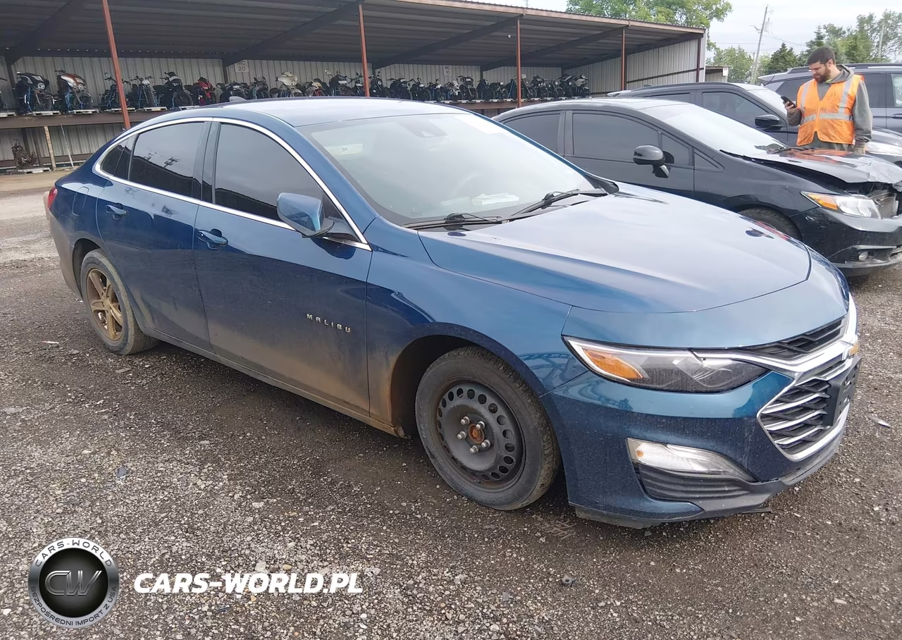 2019 Chevrolet Malibu 1Fl
