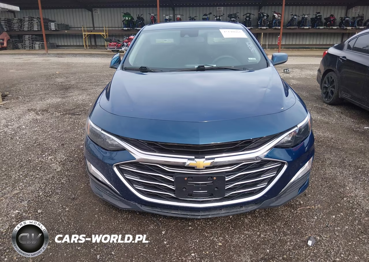 2019 Chevrolet Malibu 1Fl VIN:1G1ZC5ST1KF138285 - 12