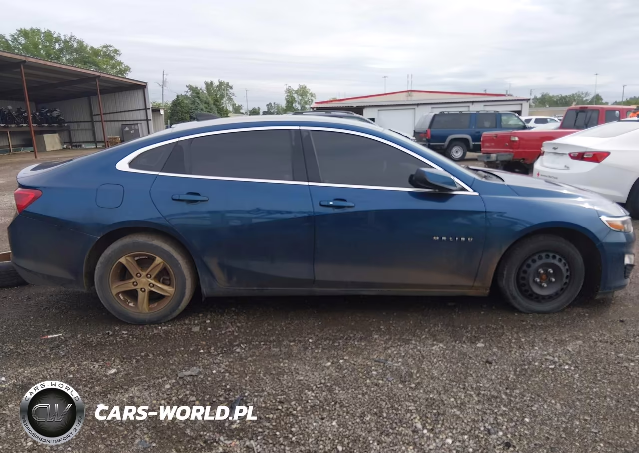 2019 Chevrolet Malibu 1Fl VIN:1G1ZC5ST1KF138285 - 13