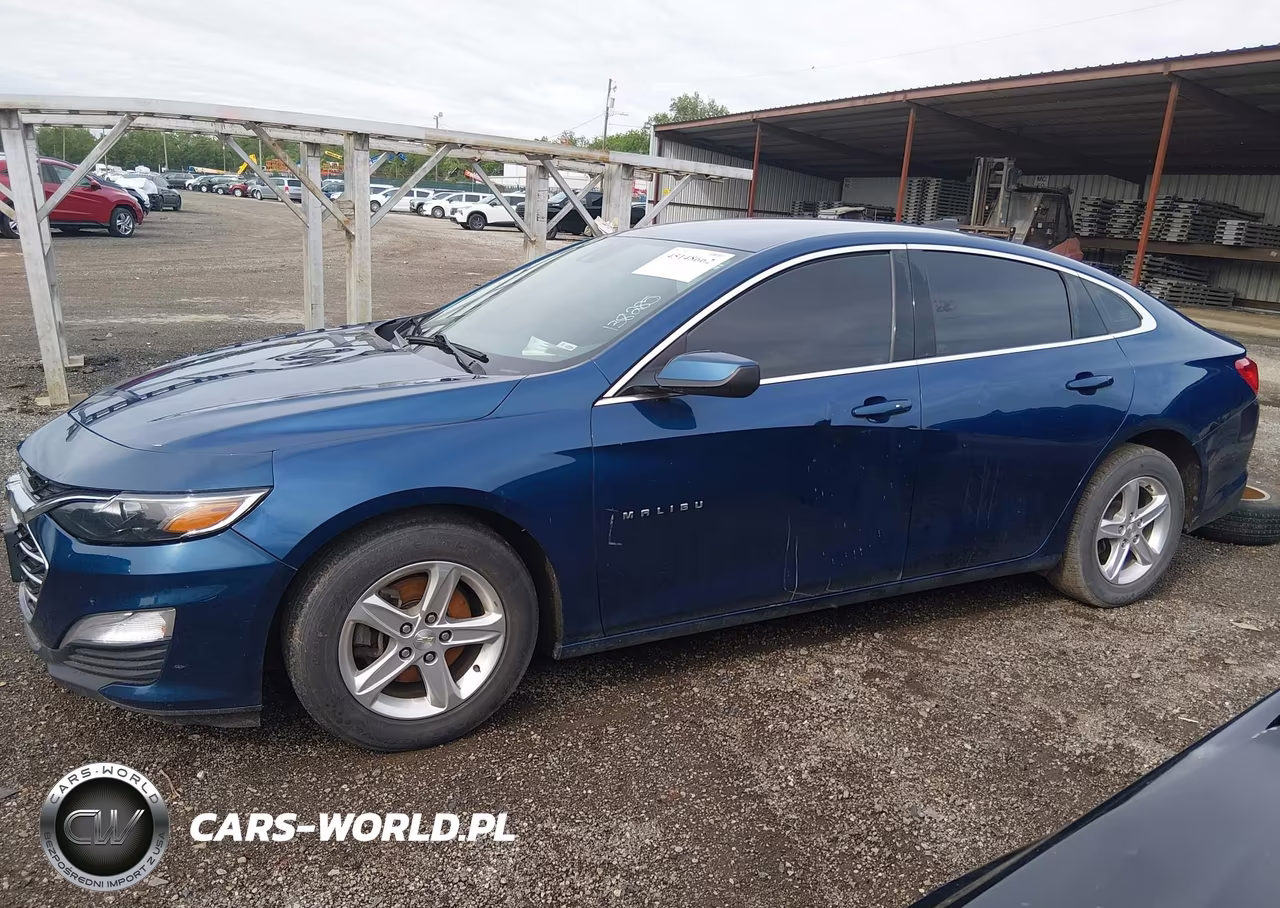 2019 Chevrolet Malibu 1Fl VIN:1G1ZC5ST1KF138285 - 14