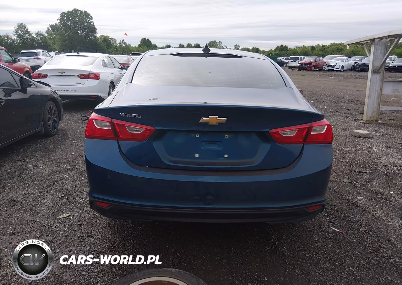 2019 Chevrolet Malibu 1Fl VIN:1G1ZC5ST1KF138285 - 16
