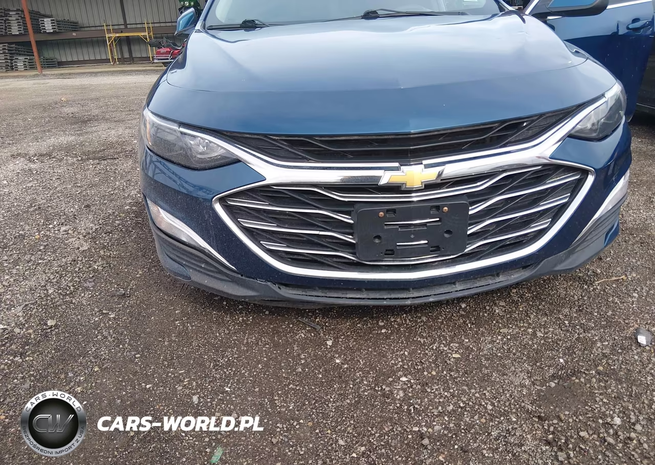2019 Chevrolet Malibu 1Fl VIN:1G1ZC5ST1KF138285 - 17