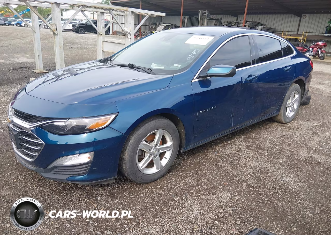 2019 Chevrolet Malibu 1Fl VIN:1G1ZC5ST1KF138285 - 2
